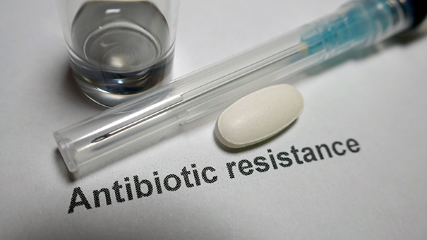 Учёные из США синтезировали новый антибиотик против «супербактерий»
