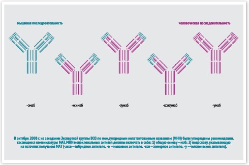 Номенклатура моноклональных антител
