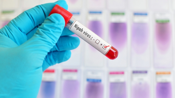 «Опасная» прививка от ВПЧ: ученые выяснили, есть ли реальные риски