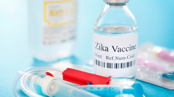 В США вакцину против вируса Зика успешно испытали на обезьянах