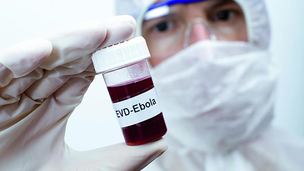 Айболит против Эболита
