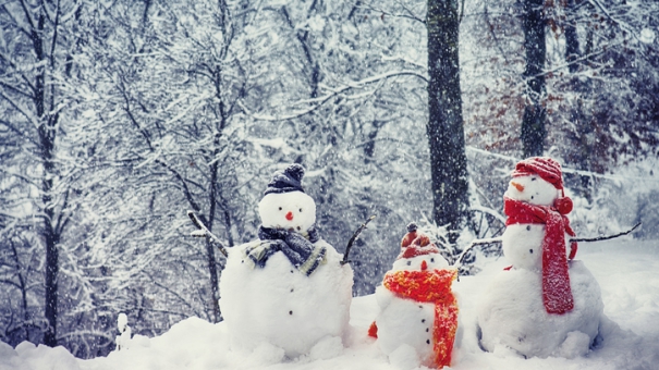 Голосуем за самого необычного снеговика-провизора!