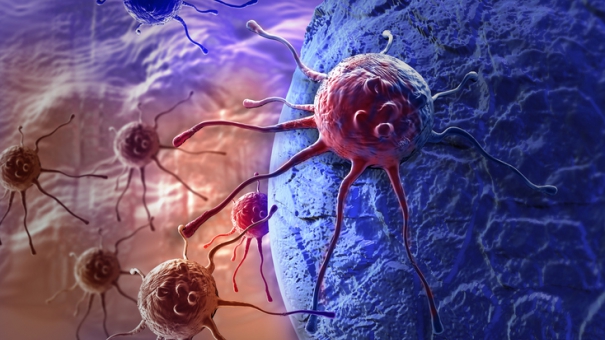 Обнаружен белок, способствующий распространению рака