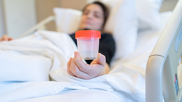 iStock-2192070370.png iStock-2192070370.png
