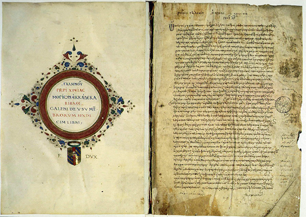 2622_rukopis-galena.png
