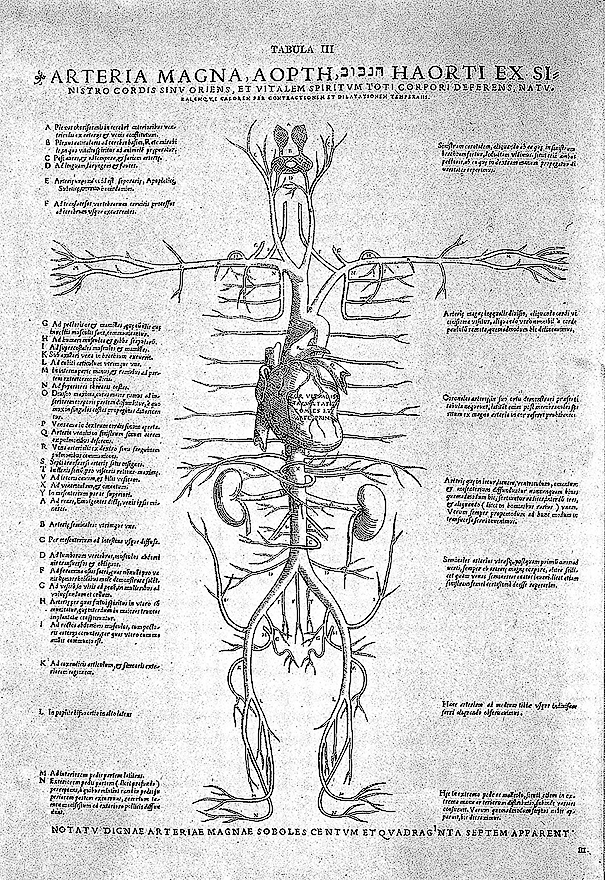 Tabulae_anatomicae_sex,_by_Vesalius.png