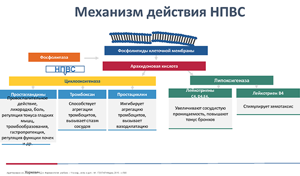 ВебинарОРВИФевраль26_Page_08.png