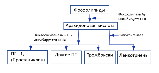 таблица нпвс.png таблица нпвс.png