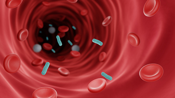 Фотосинтез поможет лечить инфаркты Фотосинтез поможет лечить инфаркты