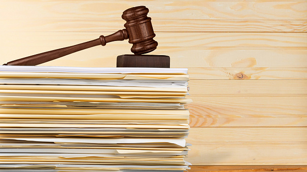 Совет Федерации рассматривает проект о законодательном закреплении СЗЛС