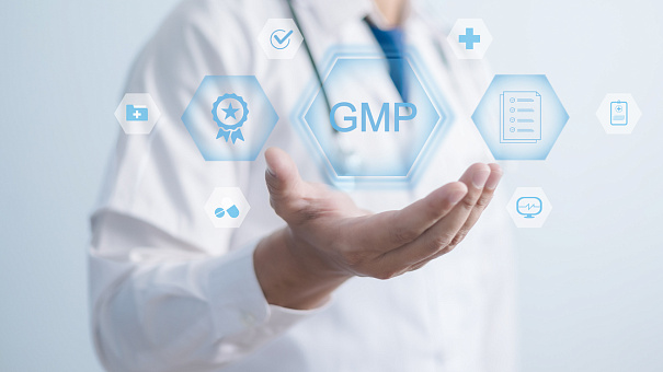 Упразднена система инспектирования по правилам GMP Упразднена система инспектирования по правилам GMP
